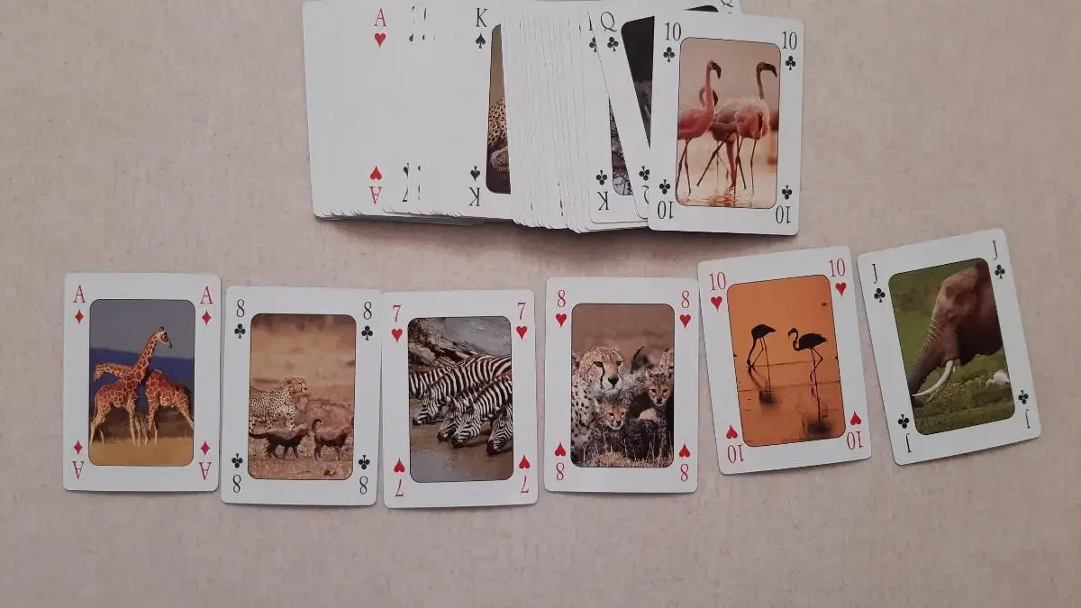 thumbnail-2